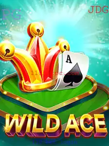 Explorando o Mundo de WildAce: Desvendando a Emoção do Jogo com 110 Bet Login